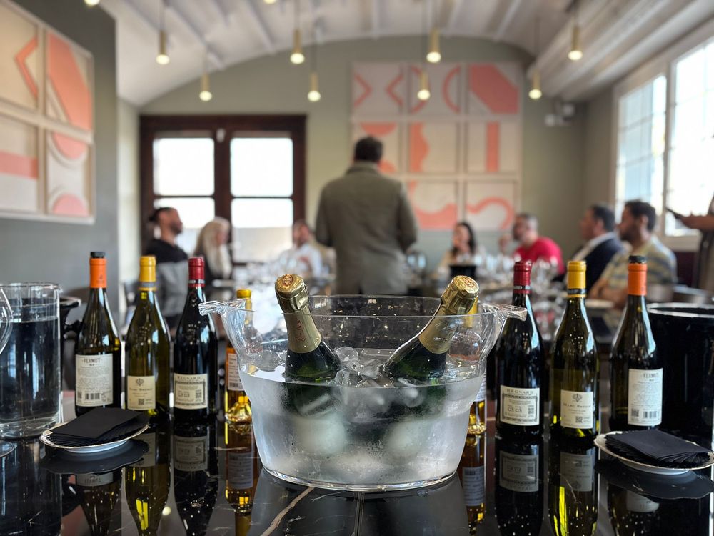 Mesa de cata con selección de vinos y cava en un evento de hostelería